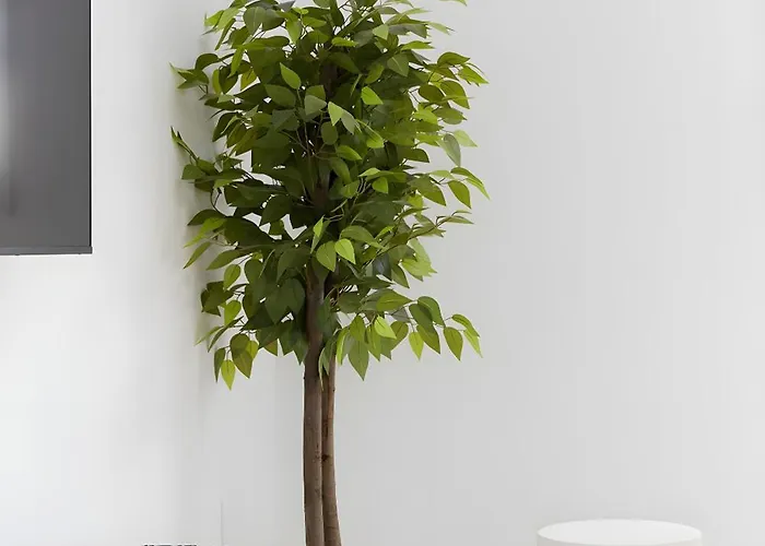 Casa Pablo Center * Fuengirola