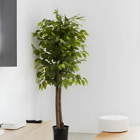 Casa Pablo Center * Fuengirola